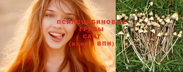 каннабис Алексин