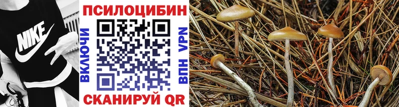 где найти   маркетплейс как зайти  Псилоцибиновые грибы ЛСД  Алупка 